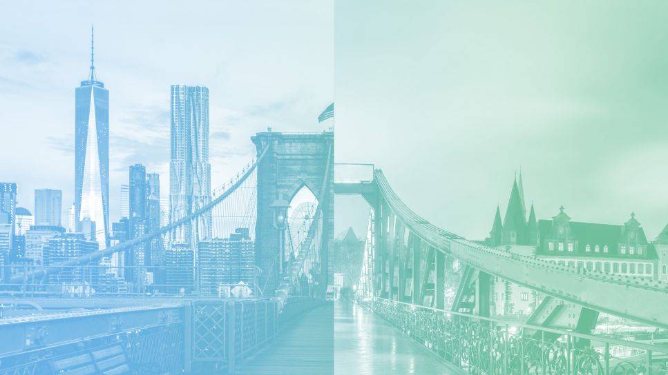 SCHOEPPE FX INTERNATIONAL CONSULTING